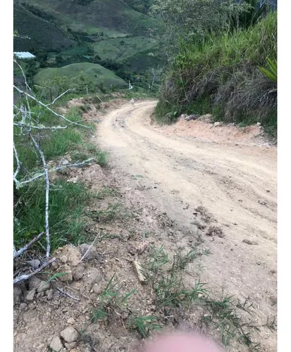 Se Vende Finca Naranjal - Roldanillo