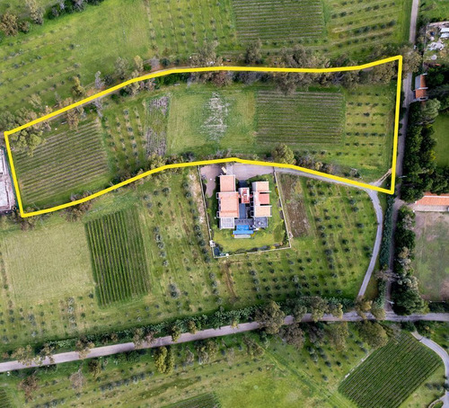 Lote En Venta En San Miguel De Allende: Viñedo San Lucas