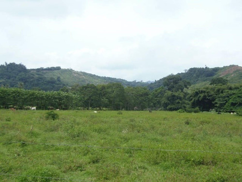 Imagen 21 de 30 de Finca En Venta San Felipe 1500 Ha, #23-14481