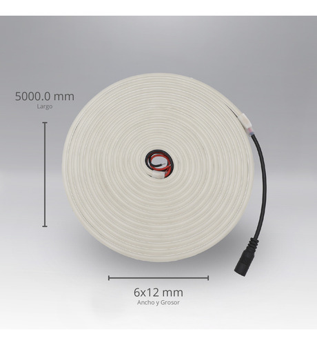Wti-022,tira 600 Leds Neón Flexible 5m 48w 12vcd Exterior Ip65 Blanco Frío 6500k, Winled