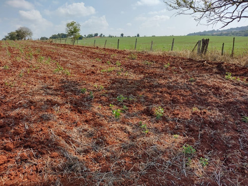 Imagem 10 de 11 de Chácara 4,5 Alqueires Sem Casa,terra Vermelha,ótimo P/plantio De Grama,soja,milho,localização Nobre,fácil Acesso,5 Kms Do Centro De Quadra Sp - Ch00080 - 69505612