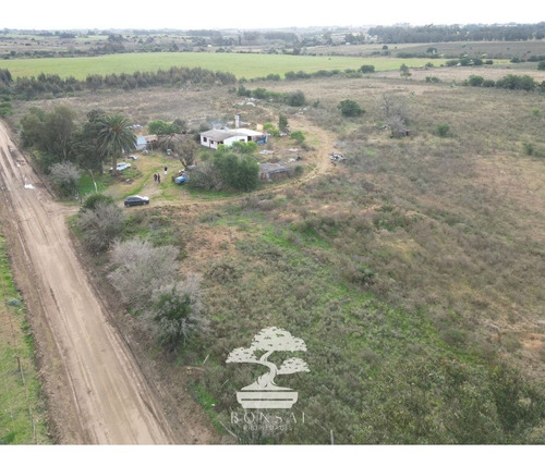 - Venta Chacra Con Casa La Macana Florida Mp.