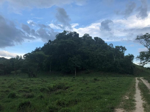 Terreno De 190 Hectáreas Cerca De Palenque