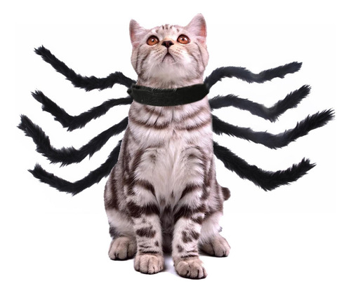 Disfraz De Araña Para Mascotas Disfraz De Araña Para Gatos R