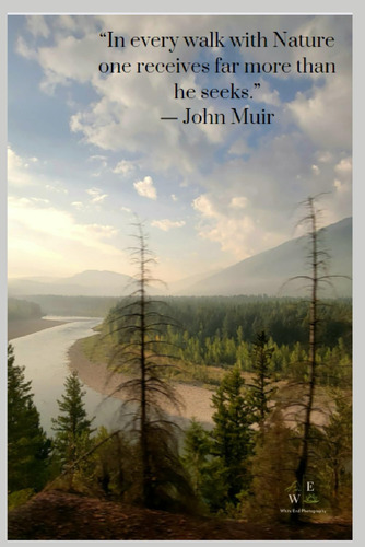 Libro:  Mountain View Journal: Images From The Train