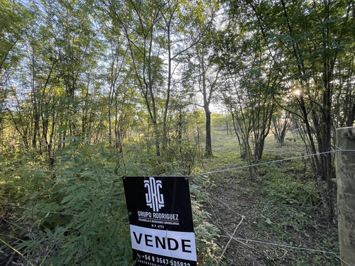 Terreno - Villa Anisacate