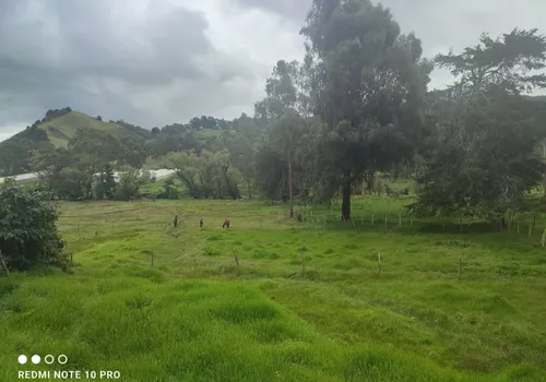 Lotes De 1.600 Metros Cuadrados