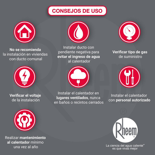 Calentador Para Jacuzzi 16lt Gas Natural Tiro Natural Rheem