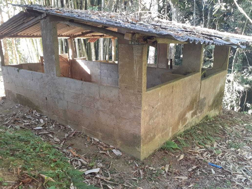 Imagem 12 de 14 de Síto Com Lago E Mata Ref 1294