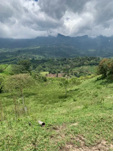 Vendo Lote De Finca En Calarcá