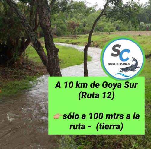 Terrenos Goya - Mercedes Cossio
