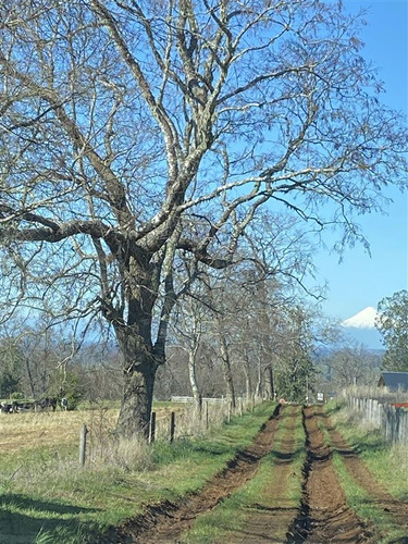 Agrícola + 24 Parcelas Con Su Rol, Pavimento, Vista Volc