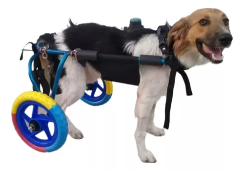 Carrito de 4 ruedas para mascotas, carrito plegable delantero y trasero  para perros medianos y grandes, artículos para discapacitados