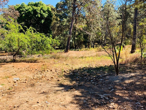Imagen 3 de 5 de Terreno En Venta