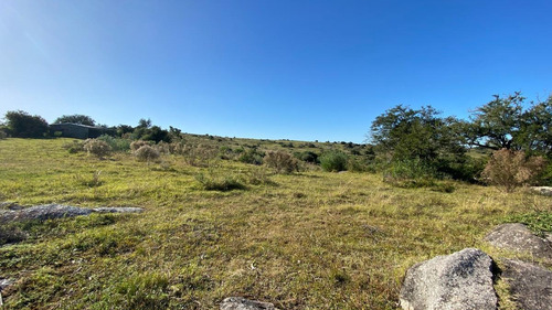Imagen 23 de 30 de Se Vende Campo De 77 Has En Maldonado. A Pocos Km De Aiguá En Zona De Ruta 39. Ubicación Privilegiada!