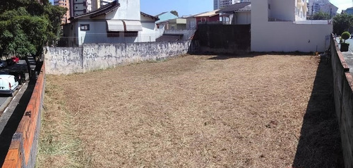 Imagem 2 de 9 de Terreno À Venda, Jardim Avelino, Com 551m² De Área , Plano, Pronto Para Construir, Esquina - Sp - Te0206_prst