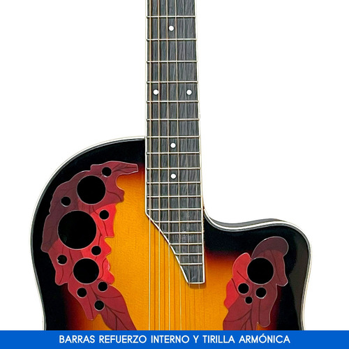 Guitarra Electroacústica Rómulo García Mh-110e + Funda