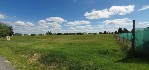 Venta Lote Terreno Área 60 Con Planos ..