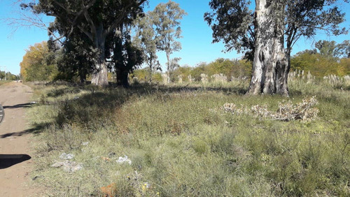 Imagen 6 de 13 de Excelente Lote 500 Mts Venta Mariano Acosta Merlo