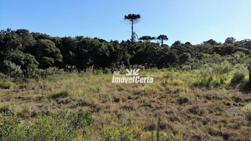 Imagem 1 de 23 de Área À Venda, 11914 M² Por R$ 5.766.419,56 - Cidade Industrial - Curitiba/pr - Ar0007