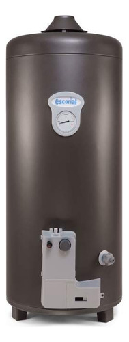 Termotanque Gas 80 L Escorial Geiser Garantía Oficial 5 Años
