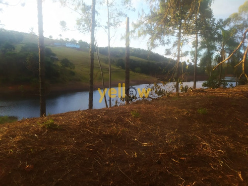 Imagem 6 de 7 de Terreno - Monte Negro - Te-3048
