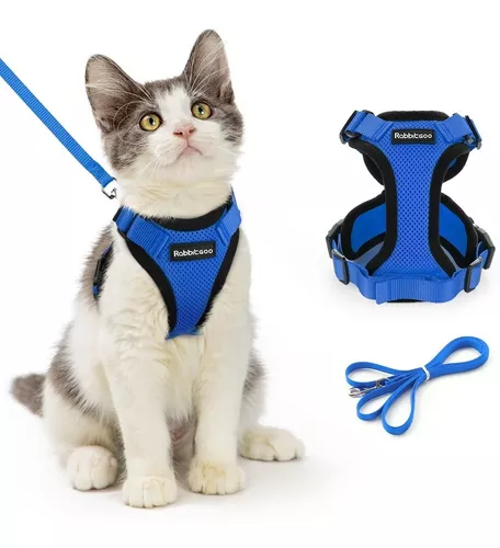  Arnés para gatos, correa y arnés para gatos para caminar a  prueba de escape, arnés para gatos pequeños/perros pequeños, arnés y correa  para gatitos grandes/cachorros, arnés para gatos S-XXL (verde, 