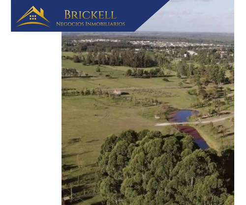Venta De Terreno En Abrrio Privado Los Olivos De Los Hornero La Tahona