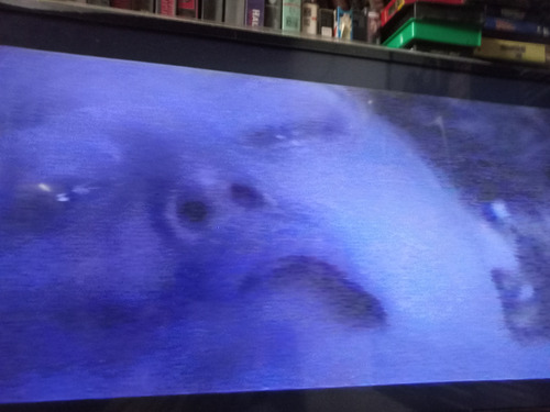 La Secta Dario Argento Vhs Pelicula ...leer Descripcion. (Usado)