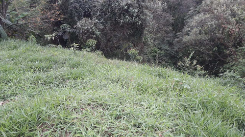 Imagem 4 de 4 de Terreno De Condomínio, Tarumã, Santana De Parnaíba - R$ 250 Mil, Cod: 235180 - V235180