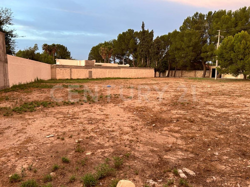 Se Vende Terreno 10,000 M2 En Eulalio Gutiérrez