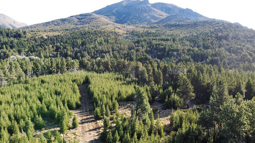 Terreno Lote  En Venta En Dos Valles, Bariloche, Patagonia