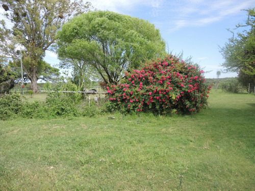 Campo En Venta, Villaguay, Entre Ríos