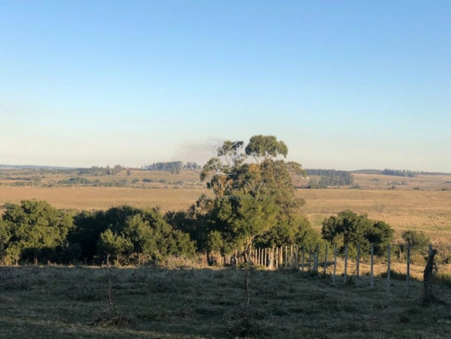 Imagen 28 de 29 de Campo En Jose Ignacio - Jose Ignacio