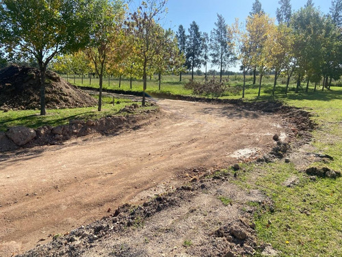 Imagen 5 de 17 de Lote En Barrio Cerrado - Spegazzini Ezeiza