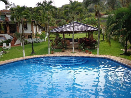 Imagen 10 de 18 de Casa De Campo En San Casimiro De Guiripa Riv Jg