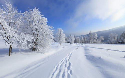 Vinilo Decorativo 50x75cm Nieve Paisaje Nevado Naturaleza M6