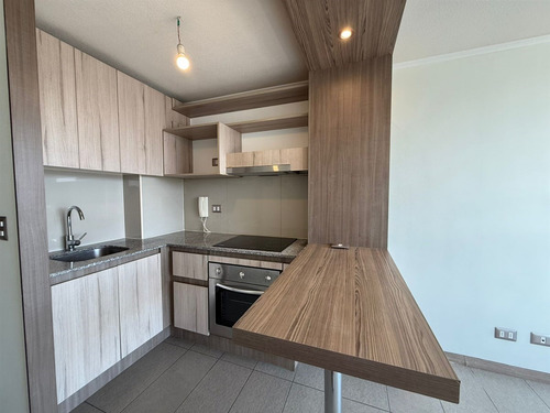 Depto 1 Dorm Y Bodega 30m2 Vista Norte Av Matta Con Carmen