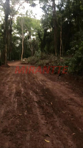 Imagem 2 de 8 de Terreno Em Serra Da Cantareira - São Paulo, Sp - 352874