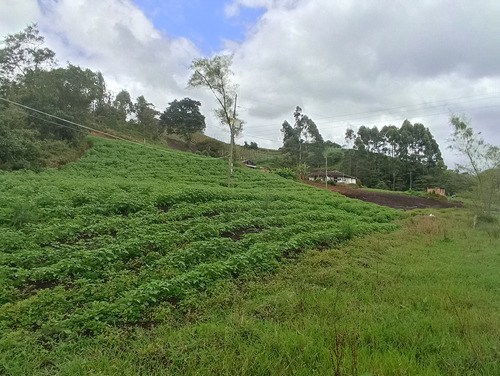 Venta Finca El Carmen De Viboral