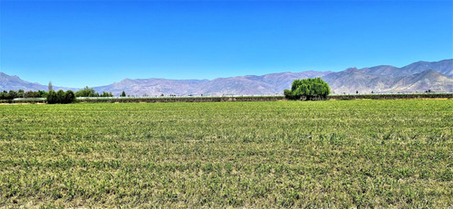 En Venta Parcela En San Rafael, San Felipe, 75.600 M2., En P