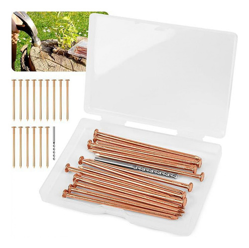 Clavos De Cobre Para Techos, Clavos Para Techos 16 Piezas