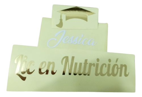 50 Stickers Personalizados Graduación 2 Colores