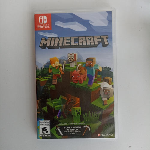 Minecraft Nintendo Switch