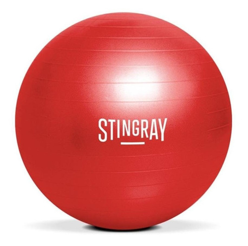 Pelota Pilates Yoga Stingray Fitness 65cm Con Bomba De Aire.