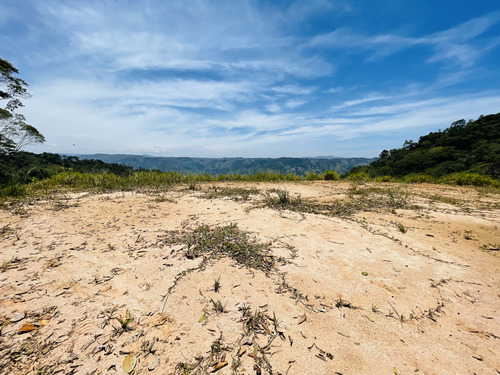 Lote Con Vista Panorámica En San Roque, Antioquia.