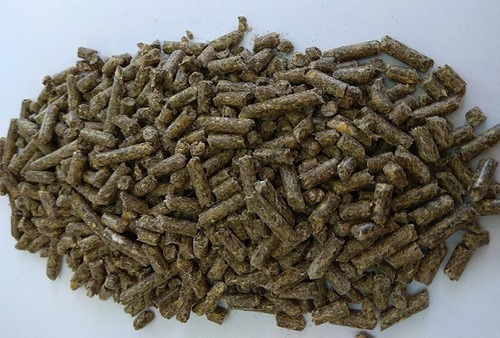 Comida Balanceada Conejo Pellet 3 Kilos