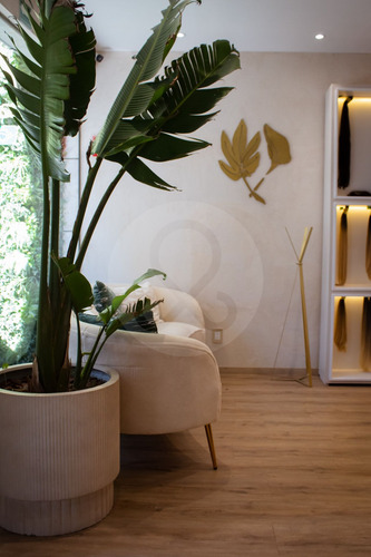 Local En Venta En Polanco V Sección
