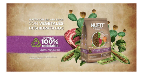 Nufit Cachorro 20 Kg + Sobres Lomo De Cerdo 100 G (22 Pzas)