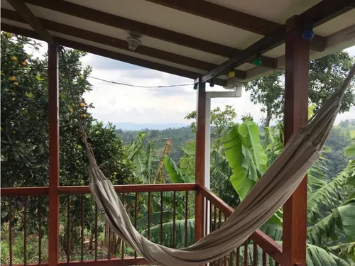 Venta Finca Productiva Cafe Platano Pasto Circasia - 23 Cuadras